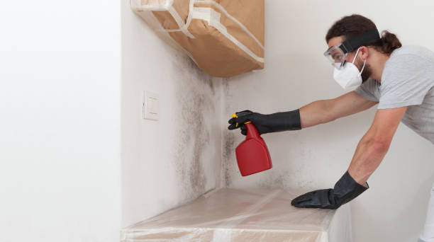 Professional Crawl Space Mold Remediation technician working in Highland Park, MI