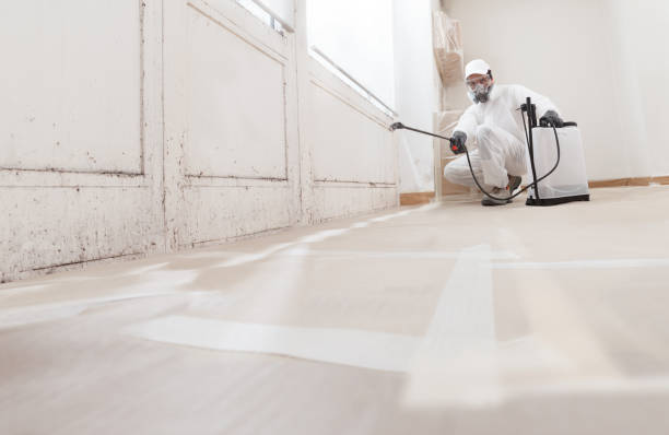 24/7 Emergency Crawl Space Mold Remediation experts in Highland Park, MI